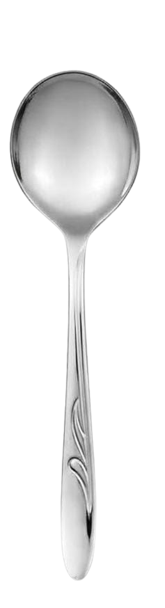 Stainless Steel Serving Soup Spoon