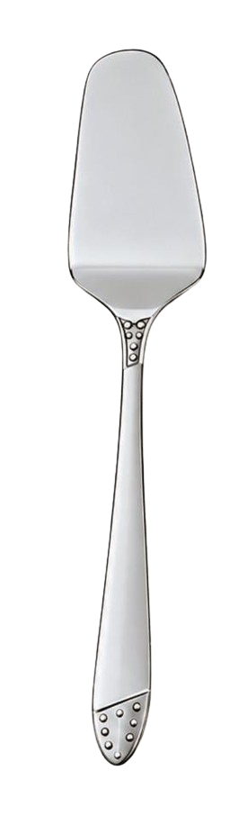 Stainless Steel Cake Lifter
