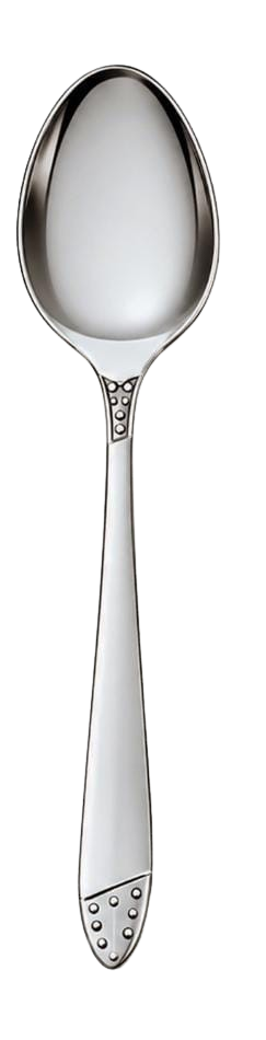 Stainless Table Spoon