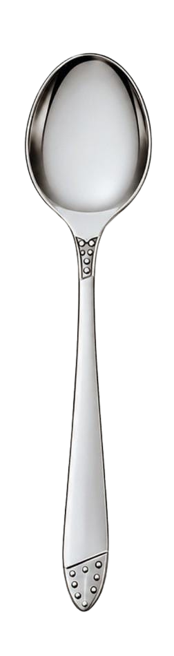Stainless Steel Tea Spoon