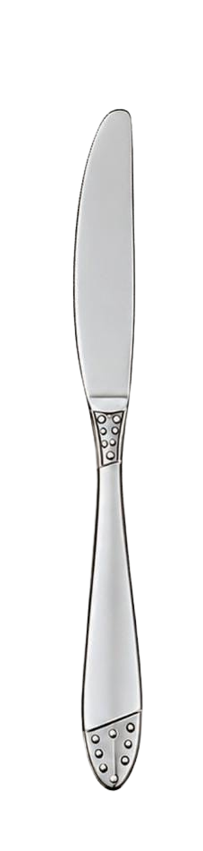 Stainless Table Knife