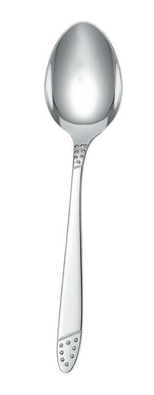 Stainless Steel Serving Spoon