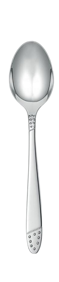 Stainless Dessert Spoon