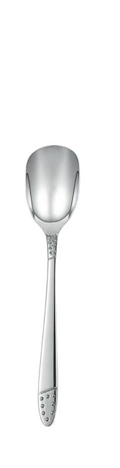 Stainless Steel Sugar Spoon