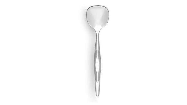 Stainless Steel Sugar Spoon